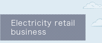 Electricity retail business