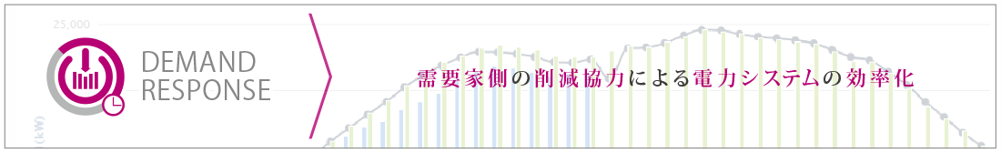 需要家側の削減協力による電力システムの効率化